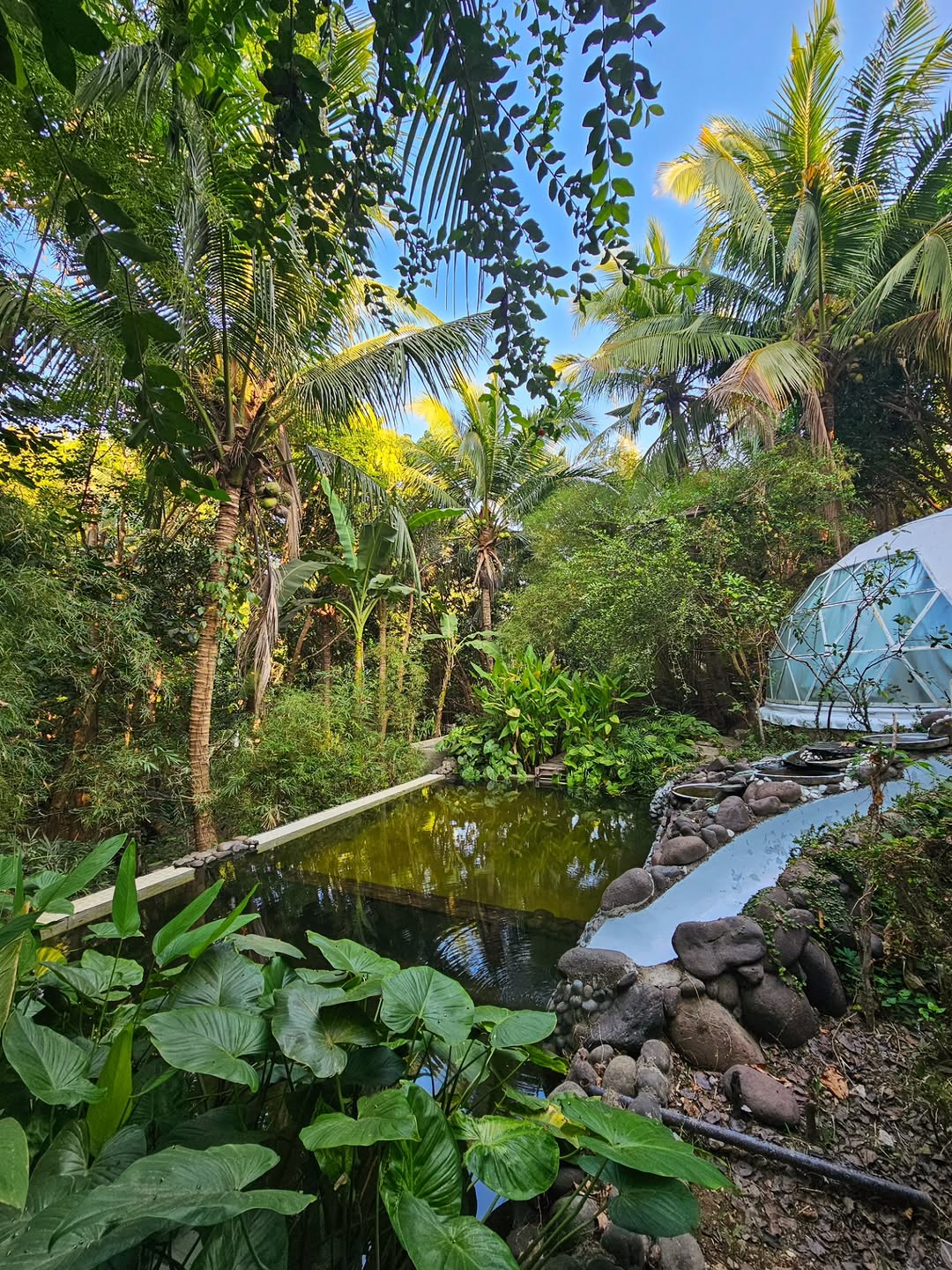 Domescape forest glamping ambiance — natural pool and dome
