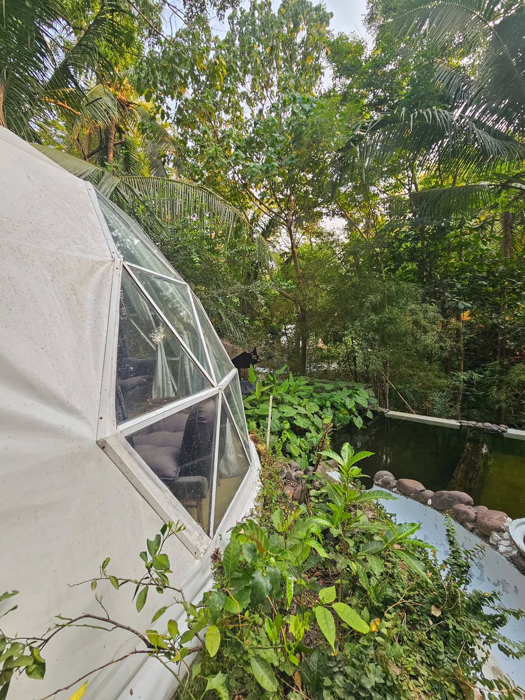 Domescape — dome view amid lush forest surroundings