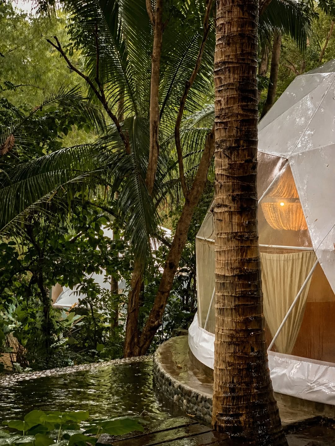 Domescape — natural stream flowing through the resort grounds